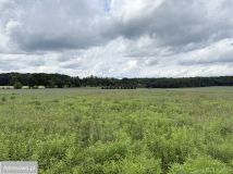 Działka rolna Kołowo. Zdjęcie 2