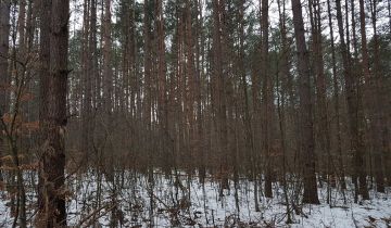 Działka leśna Bondyrz