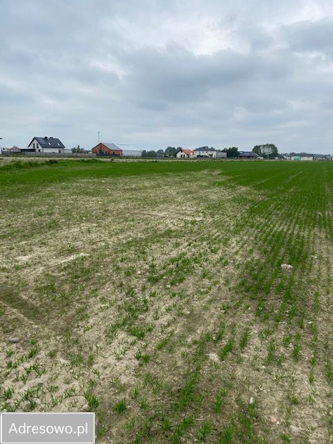 Działka budowlana Łady. Zdjęcie 4