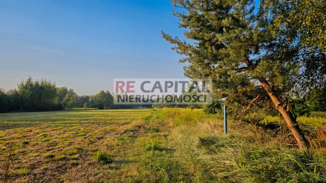 Działka budowlana Borzęcin Duży. Zdjęcie 10