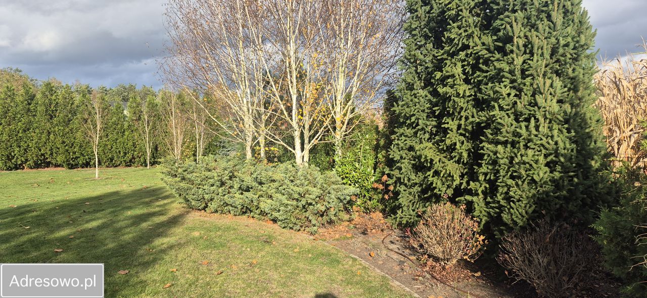 dom wolnostojący, 5 pokoi Oleśniczka. Zdjęcie 3