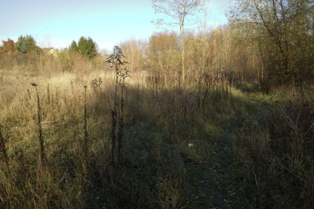 Działka budowlana Czerwonak, ul. Leśna. Zdjęcie 2