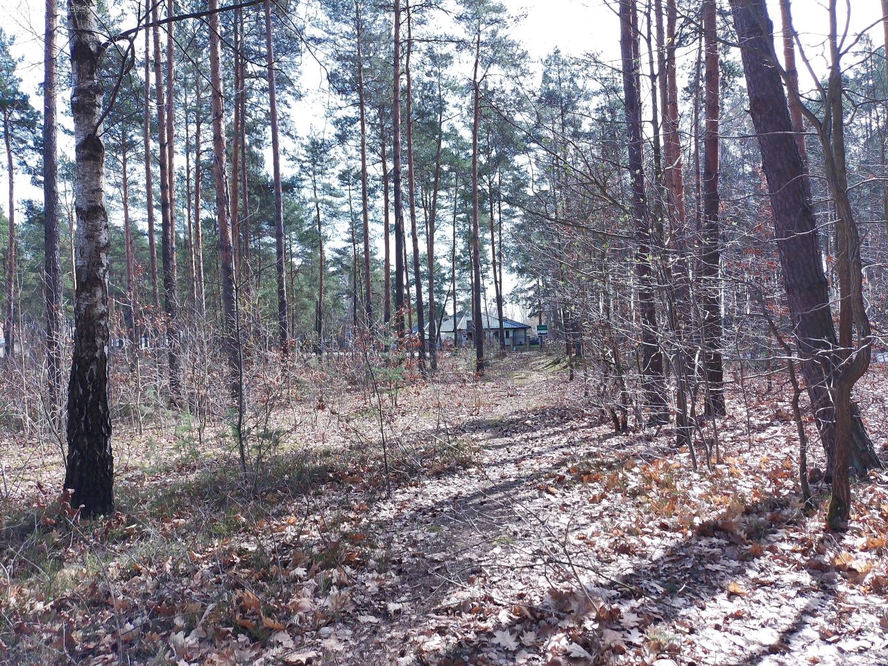 Działka budowlana Marynino, Sosnowa. Zdjęcie 44