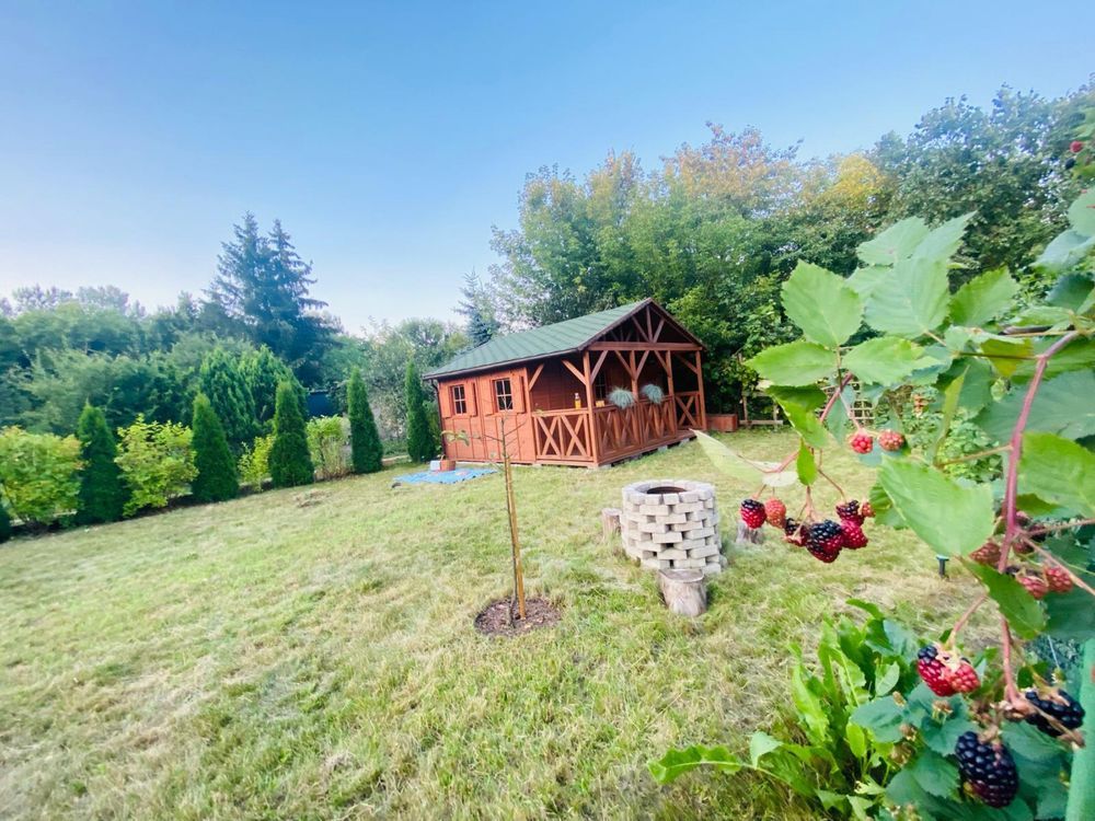 Działka rod Poznań Wilda, ul. Droga Dębińska. Zdjęcie 7