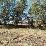 Działka budowlana Grąbczyn. Zdjęcie 3