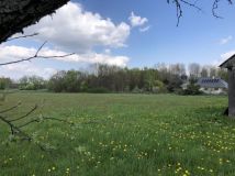 Działka rolno-budowlana Wólka Leśna. Zdjęcie 2