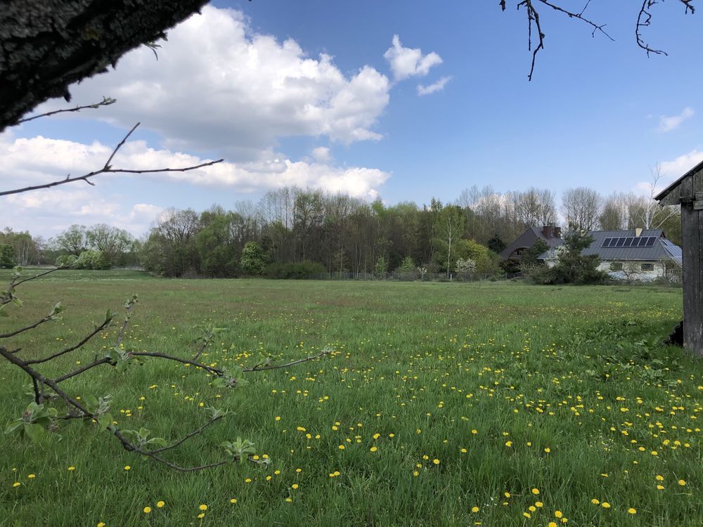 Działka rolno-budowlana Wólka Leśna. Zdjęcie 3