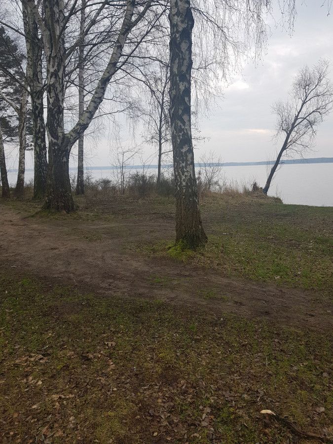 Działka rolna Swolszewice Duże. Zdjęcie 3