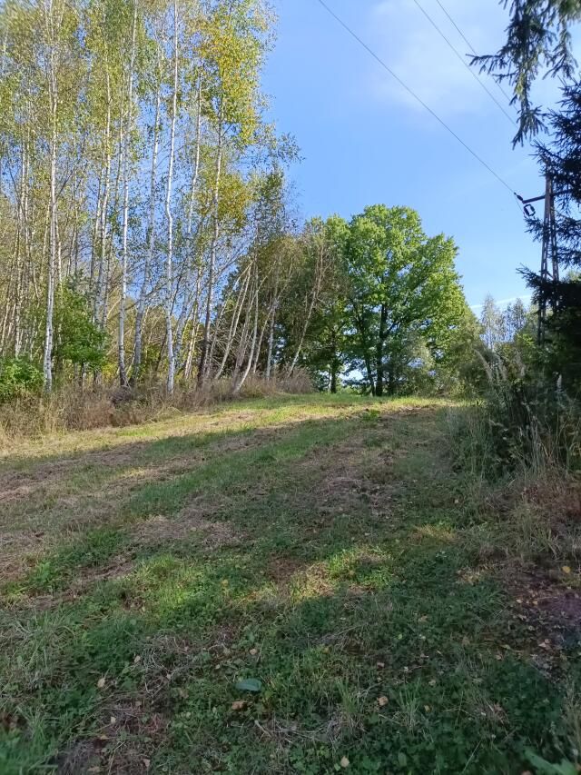 Działka budowlana Lutcza. Zdjęcie 7