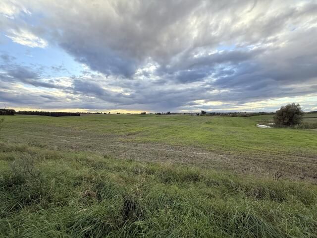 Działka siedliskowa Laseczno. Zdjęcie 7