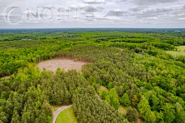 Działka budowlana Radziejowice, ul. Do Lasu. Zdjęcie 7