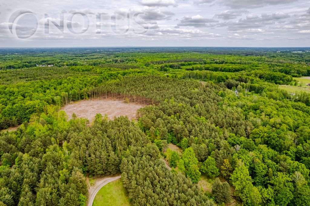 Działka budowlana Radziejowice, ul. Do Lasu. Zdjęcie 7
