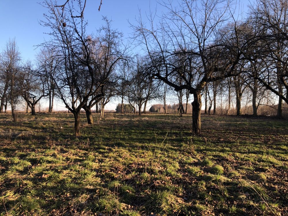 Działka budowlana Wola Krakowiańska, ul. Jastrzębska. Zdjęcie 5