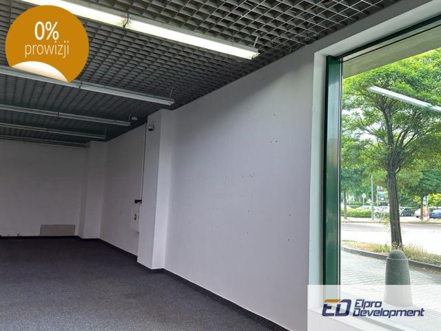 Lokal Świdnica, ul. Walerego Wróblewskiego. Zdjęcie 5