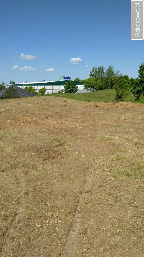 Działka budowlana Marcinkowo. Zdjęcie 6