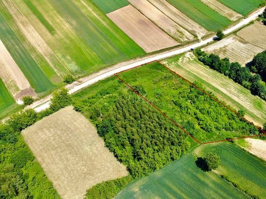 Działka rolno-budowlana Pałecznica. Zdjęcie 5