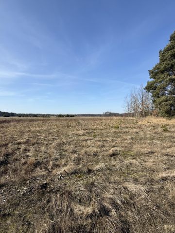 Działka budowlana Kieszek, Kieszek. Zdjęcie 1