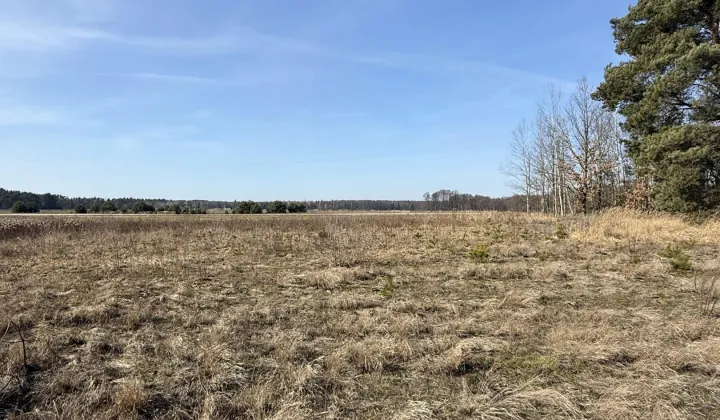 Działka budowlana Kieszek, Kieszek