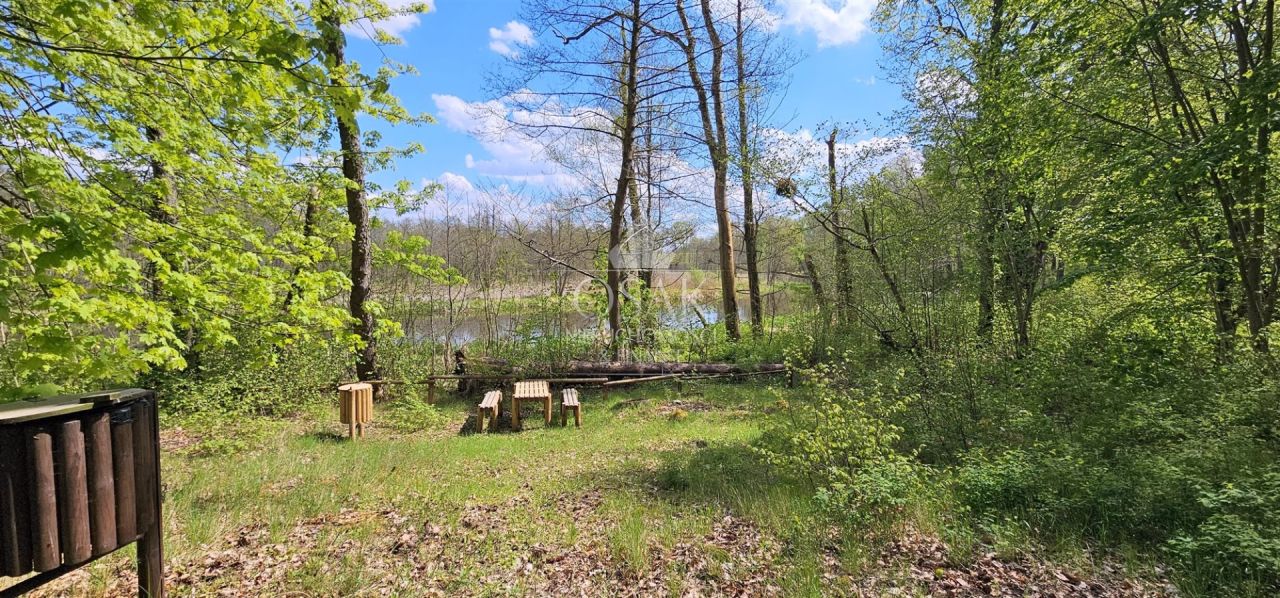 Działka Żerzyno. Zdjęcie 2