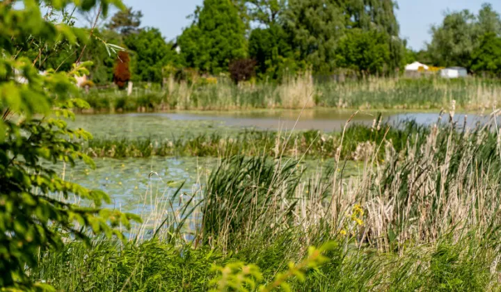 dom wolnostojący, 5 pokoi Kępa Rybacka