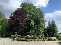 dworek, 20 pokoi Koźmin Wielkopolski, ul. Lipowa. Zdjęcie 3