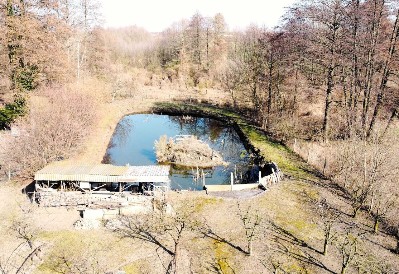 Działka rolno-budowlana Mokra. Zdjęcie 6