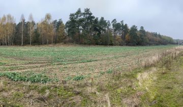 Działka rolna Szczutki