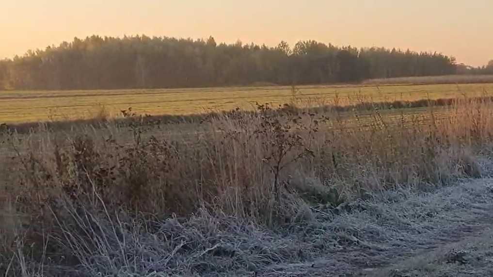 Działka budowlana Nowe Faszczyce. Zdjęcie 3