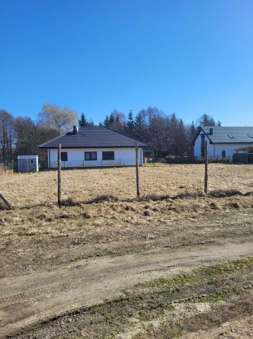 Działka budowlana Wielka Nieszawka. Zdjęcie 1