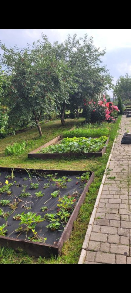 Działka rod Ełk. Zdjęcie 3