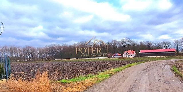 Działka budowlana Tyniec Mały. Zdjęcie 2