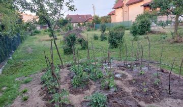 Działka rolno-budowlana Malczyce, ul. Sadowa