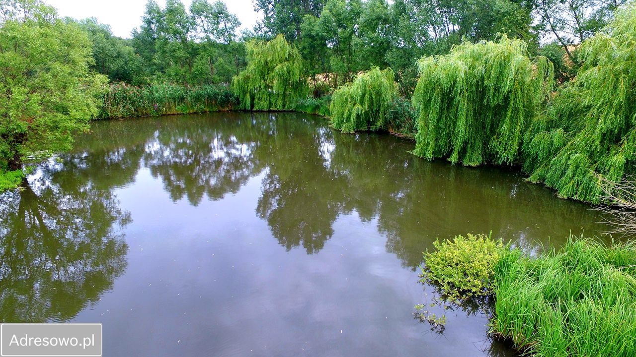 Działka rekreacyjna Rudaw. Zdjęcie 5