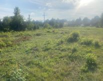 Działka rolno-budowlana Ciekoty. Zdjęcie 4