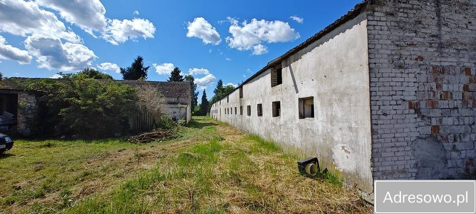 Działka rolno-budowlana Barnówko. Zdjęcie 5