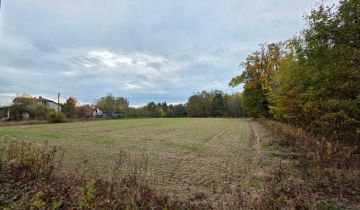 Działka budowlana Pachnowola