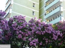 Mieszkanie 2-pokojowe Warszawa Praga-Południe. Zdjęcie 4