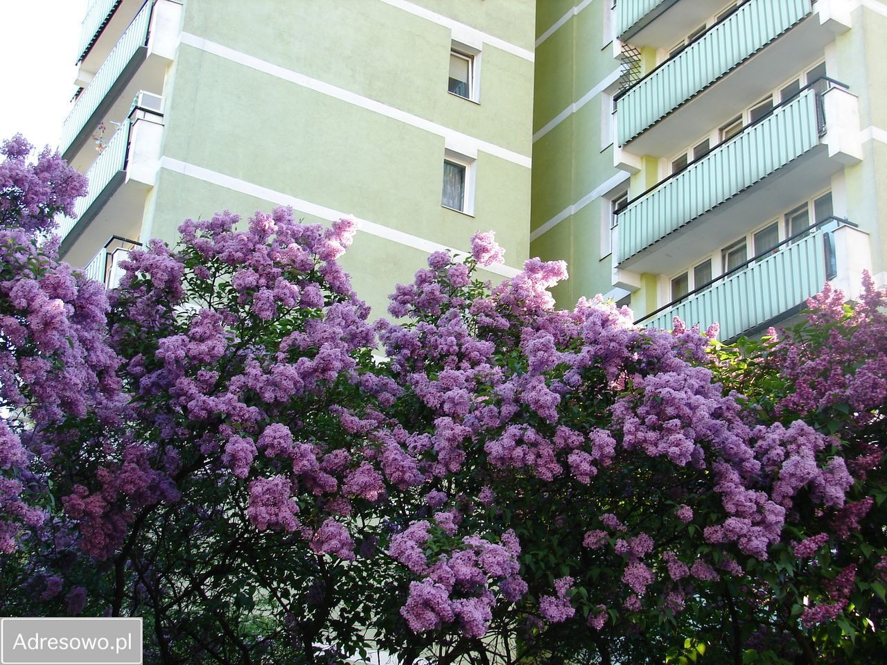 Mieszkanie 2-pokojowe Warszawa Praga-Południe. Zdjęcie 5