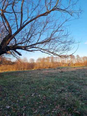 Działka budowlana Józefów. Zdjęcie 3