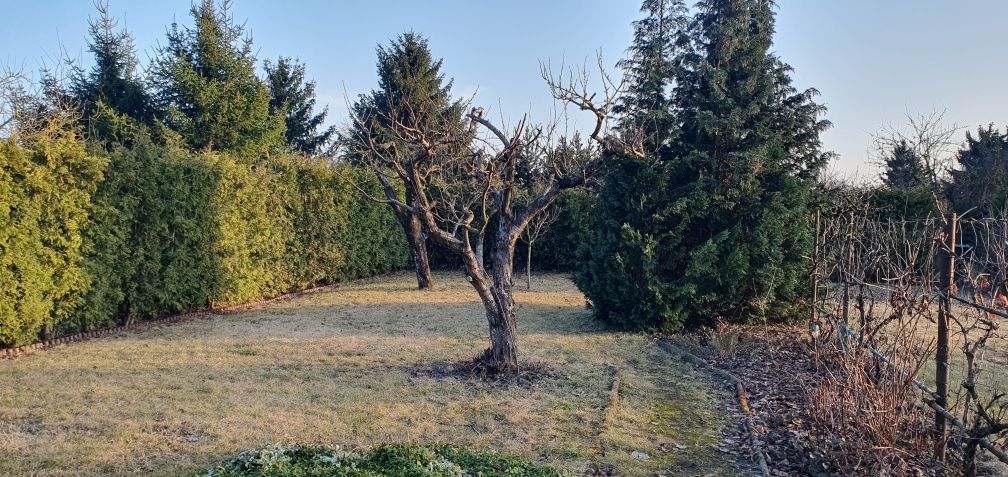 Działka rod Inowrocław. Zdjęcie 3