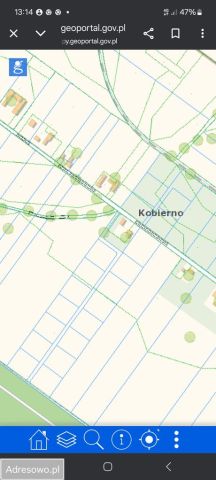 Działka rolna Kobierno. Zdjęcie 1