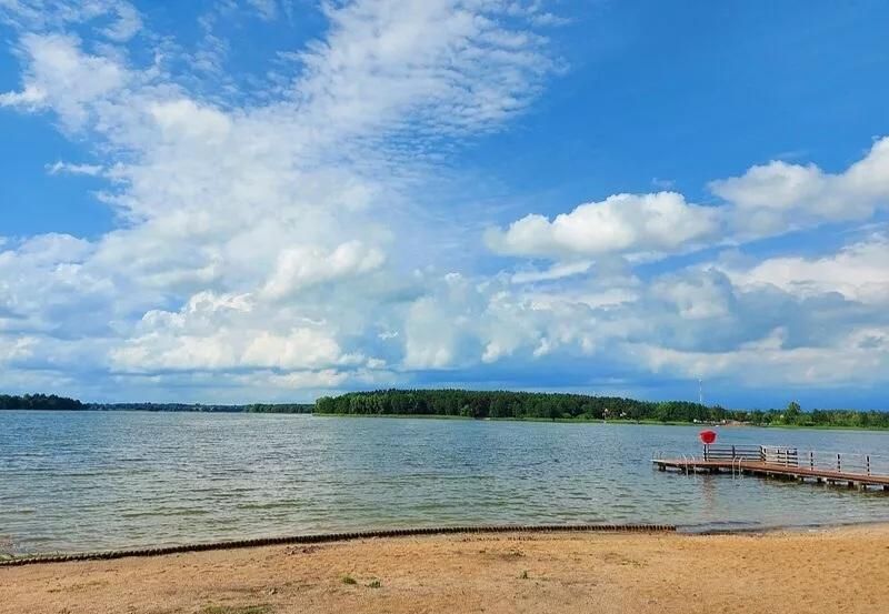 Działka rolno-budowlana Zgniły Głuszynek. Zdjęcie 1