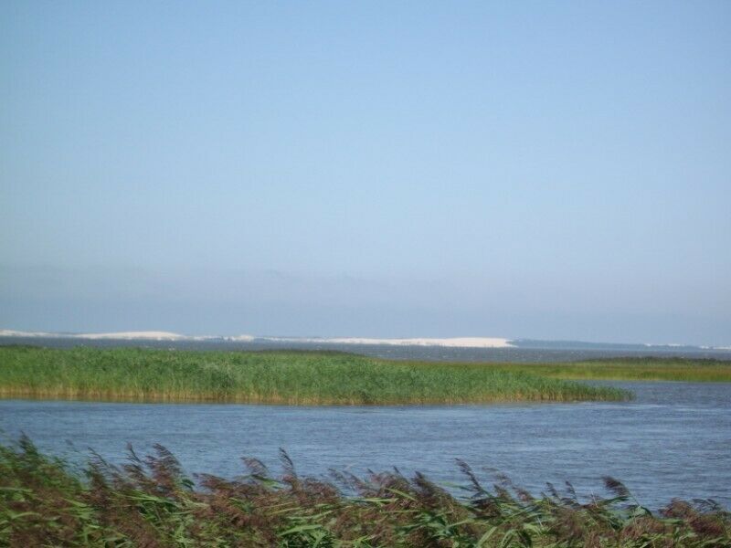 Działka budowlana Izbica. Zdjęcie 5