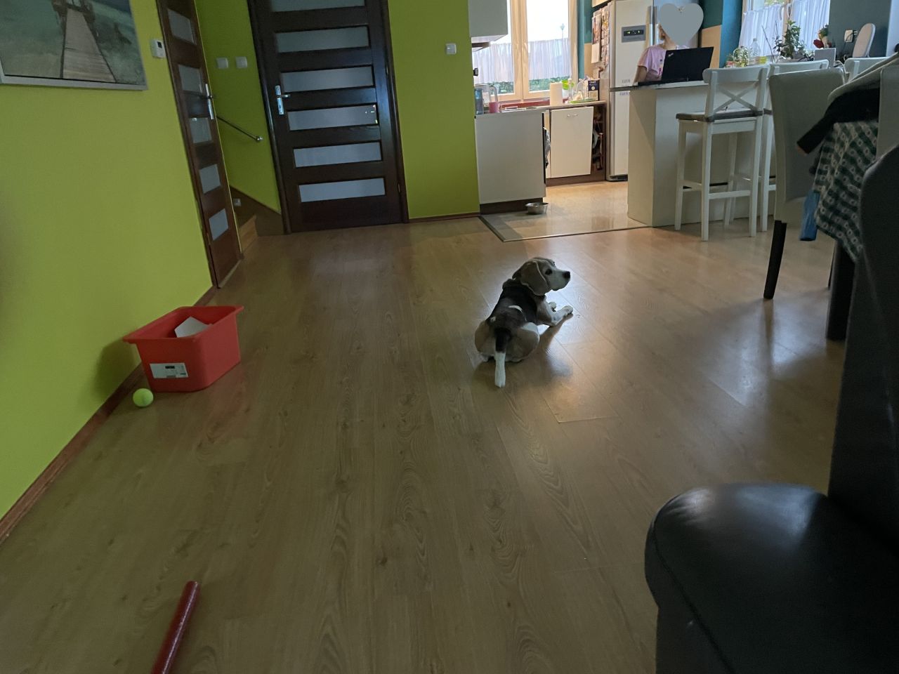 dom wolnostojący, 5 pokoi Mosty. Zdjęcie 13