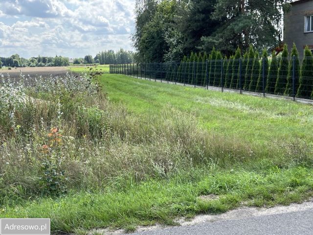 Działka rolno-budowlana Skrzynki. Zdjęcie 1