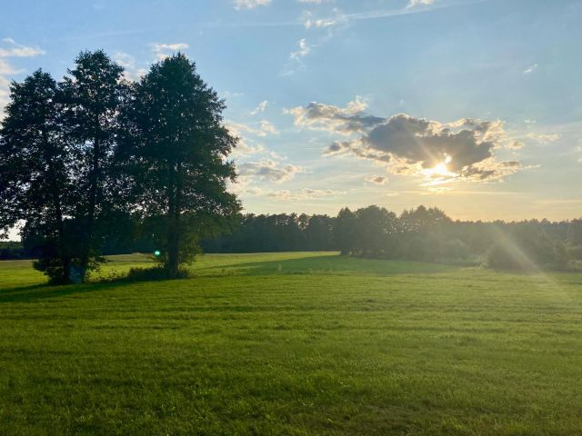 Działka rolna Osieczna. Zdjęcie 1