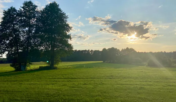 Działka rolna Osieczna