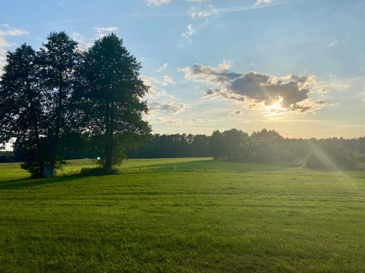 Działka rolna Osieczna. Zdjęcie 1