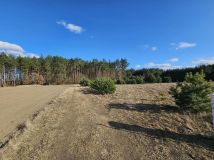 Działka budowlana Paruszka. Zdjęcie 1