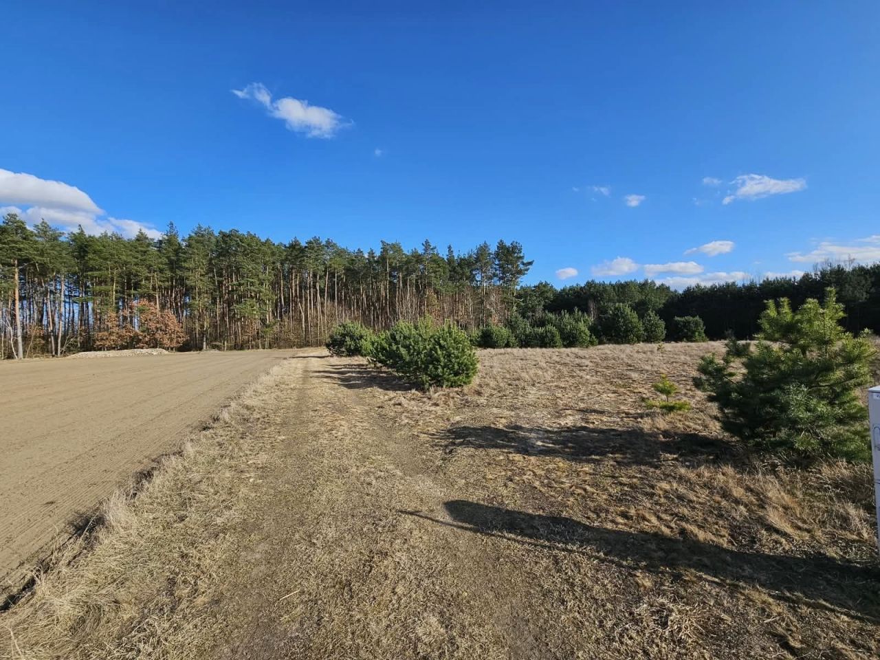 Działka budowlana Paruszka. Zdjęcie 2